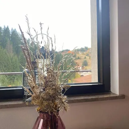 Escape House * Stoykite