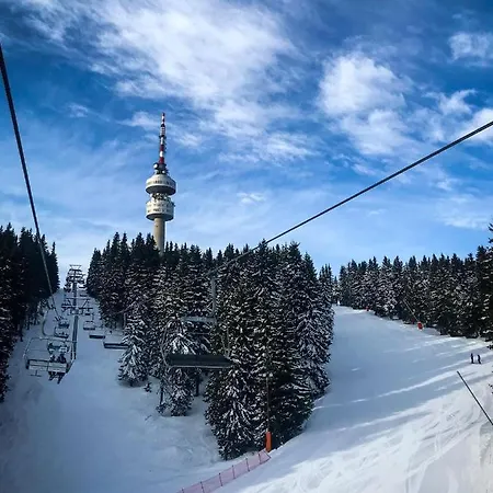 Escape House * Stoykite