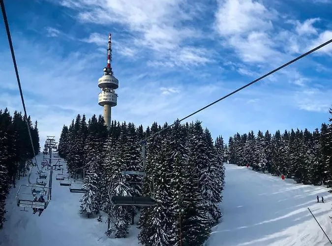 Escape House * Stoykite